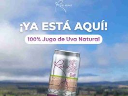 De la crisis del vino a la innovación: emprendedora de O’Higgins crea jugo funcional con antioxidantes de la propia uva enriquecido con resveratrol 