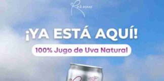 De la crisis del vino a la innovación: emprendedora de O’Higgins crea jugo funcional con antioxidantes de la propia uva enriquecido con resveratrol 