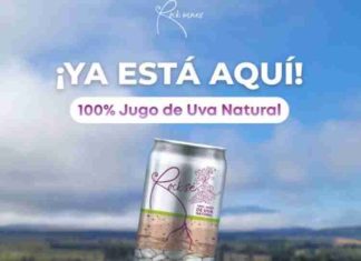 De la crisis del vino a la innovación: emprendedora de O’Higgins crea jugo funcional con antioxidantes de la propia uva enriquecido con resveratrol 