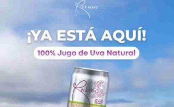 De la crisis del vino a la innovación: emprendedora de O’Higgins crea jugo funcional con antioxidantes de la propia uva enriquecido con resveratrol 