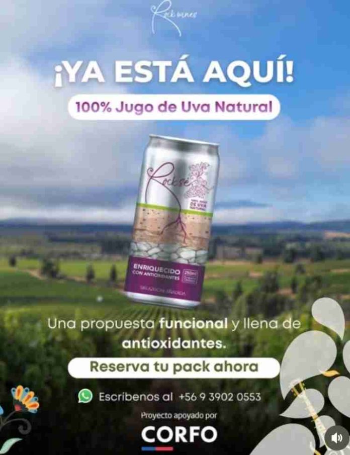 De la crisis del vino a la innovación: emprendedora de O’Higgins crea jugo funcional con antioxidantes de la propia uva enriquecido con resveratrol 