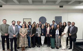 El Gran Concepción avanza hacia un programa de ciudad para fortalecer la atención del cáncer con enfoque basado en evidencia