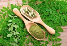 El boom de la moringa ¿qué dice realmente la ciencia sobre sus propiedades y qué precauciones se deben tener al consumirla