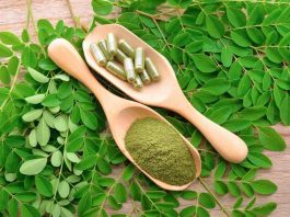 El boom de la moringa ¿qué dice realmente la ciencia sobre sus propiedades y qué precauciones se deben tener al consumirla