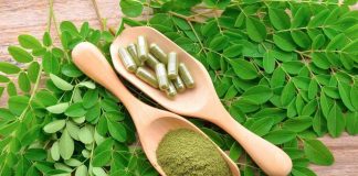 El boom de la moringa ¿qué dice realmente la ciencia sobre sus propiedades y qué precauciones se deben tener al consumirla