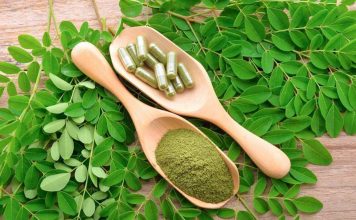 El boom de la moringa ¿qué dice realmente la ciencia sobre sus propiedades y qué precauciones se deben tener al consumirla