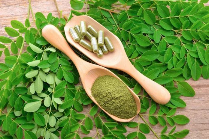 El boom de la moringa ¿qué dice realmente la ciencia sobre sus propiedades y qué precauciones se deben tener al consumirla