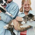 El duelo por mascotas llega al trabajo: empresas avanzan en nuevos permisos laborales El duelo por mascotas llega al trabajo: empresas avanzan en nuevos permisos laborales