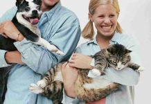 El duelo por mascotas llega al trabajo: empresas avanzan en nuevos permisos laborales El duelo por mascotas llega al trabajo: empresas avanzan en nuevos permisos laborales