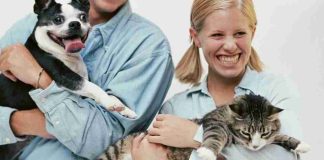 El duelo por mascotas llega al trabajo: empresas avanzan en nuevos permisos laborales El duelo por mascotas llega al trabajo: empresas avanzan en nuevos permisos laborales