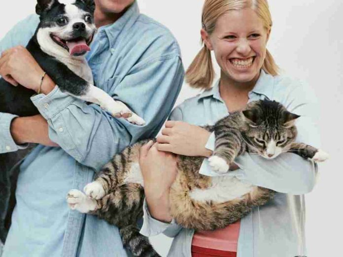 El duelo por mascotas llega al trabajo: empresas avanzan en nuevos permisos laborales