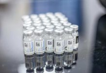 El riesgo de repetir la historia: La negociación en la OMS que definirá quién se salva en la próxima pandemia