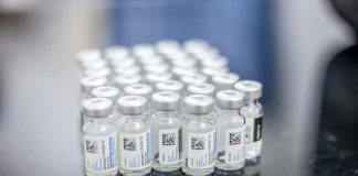 El riesgo de repetir la historia: La negociación en la OMS que definirá quién se salva en la próxima pandemia