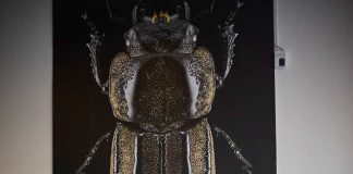 El tabú se rompe: por qué los hombres chilenos están llenando los quirófanos