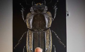 El tabú se rompe: por qué los hombres chilenos están llenando los quirófanos