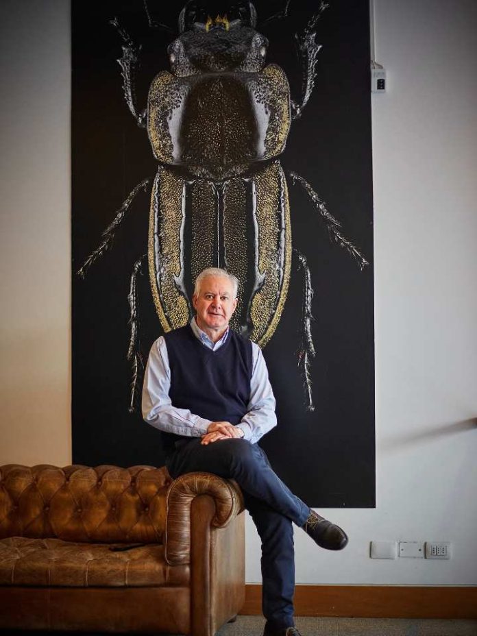 El tabú se rompe: por qué los hombres chilenos están llenando los quirófanos