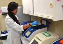 Estudio advierte que el limón y la refrigeración no eliminan parásitos en pescados