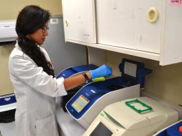 Estudio advierte que el limón y la refrigeración no eliminan parásitos en pescados