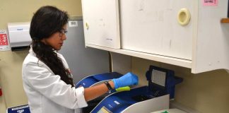 Estudio advierte que el limón y la refrigeración no eliminan parásitos en pescados