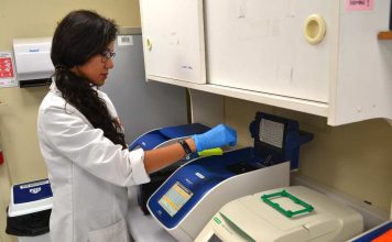 Estudio advierte que el limón y la refrigeración no eliminan parásitos en pescados