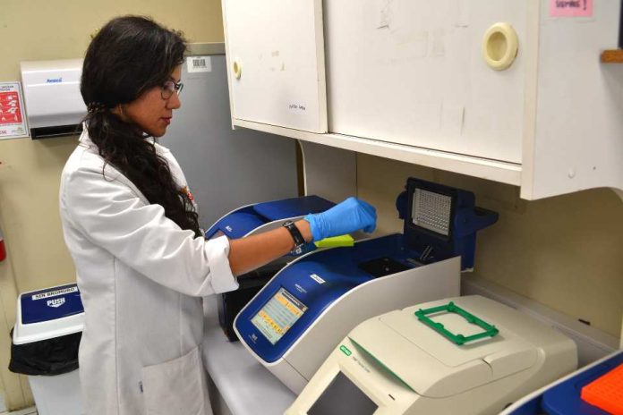 Estudio advierte que el limón y la refrigeración no eliminan parásitos en pescados