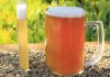 Estudio revela el potencial del bagazo cervecero para la salud intestinal y hepática