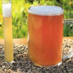 Estudio revela el potencial del bagazo cervecero para la salud intestinal y hepática