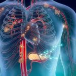 Innovador procedimiento permite tratar coágulos en los pulmones con menor riesgo