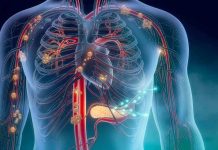 Innovador procedimiento permite tratar coágulos en los pulmones con menor riesgo