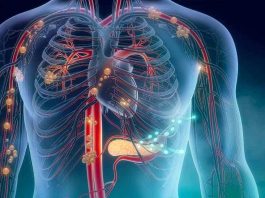 Innovador procedimiento permite tratar coágulos en los pulmones con menor riesgo