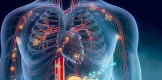 Innovador procedimiento permite tratar coágulos en los pulmones con menor riesgo