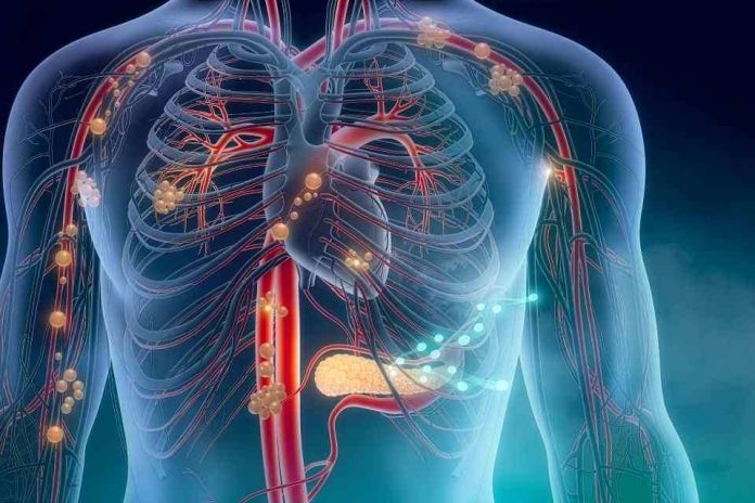 Innovador procedimiento permite tratar coágulos en los pulmones con menor riesgo