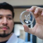 Investigadores crean hidrogel a base de veneno de avispa que cura lesiones de pie diabético Investigadores crean hidrogel a base de veneno de avispa que cura lesiones de pie diabético