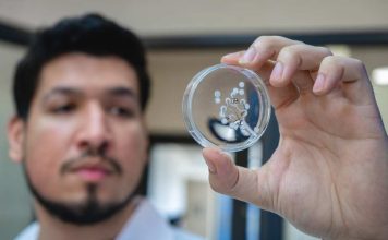 Investigadores crean hidrogel a base de veneno de avispa que cura lesiones de pie diabético