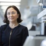 Investigadores de Mayo Clinic identifican cambios clave en el ADN en cerebros de personas con enfermedad de Alzheimer