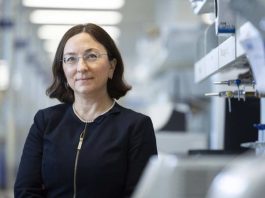 Investigadores de Mayo Clinic identifican cambios clave en el ADN en cerebros de personas con enfermedad de Alzheimer