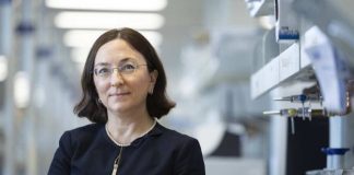 Investigadores de Mayo Clinic identifican cambios clave en el ADN en cerebros de personas con enfermedad de Alzheimer Investigadores de Mayo Clinic identifican cambios clave en el ADN en cerebros de personas con enfermedad de Alzheimer