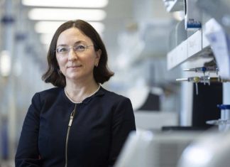 Investigadores de Mayo Clinic identifican cambios clave en el ADN en cerebros de personas con enfermedad de Alzheimer