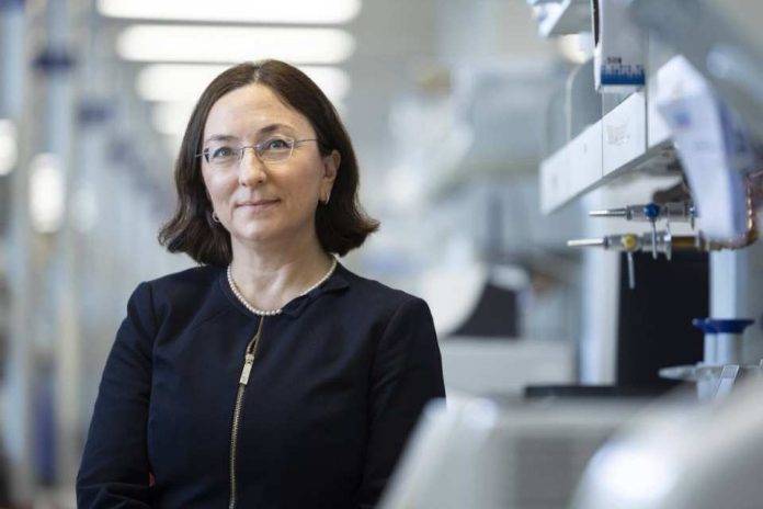 Investigadores de Mayo Clinic identifican cambios clave en el ADN en cerebros de personas con enfermedad de Alzheimer Investigadores de Mayo Clinic identifican cambios clave en el ADN en cerebros de personas con enfermedad de Alzheimer