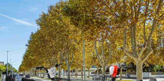 Rodovía Bike: la nueva apuesta chilena que combina bicicletas, rodados y movilidad eléctrica a precios competitivos