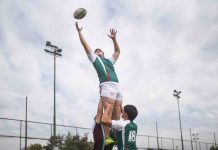 Más de la mitad de los escolares en Chile tiene sobrepeso: el modelo que busca revertir la tendencia Más de la mitad de los escolares en Chile tiene sobrepeso: el modelo que busca revertir la tendencia