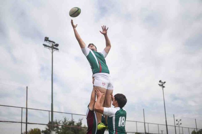 Más de la mitad de los escolares en Chile tiene sobrepeso: el modelo que busca revertir la tendencia Más de la mitad de los escolares en Chile tiene sobrepeso: el modelo que busca revertir la tendencia