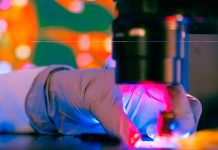 Investigadores de Mayo Clinic identifican por qué algunos tumores pulmonares responden bien a la inmunoterapia Investigadores de Mayo Clinic identifican por qué algunos tumores pulmonares responden bien a la inmunoterapia