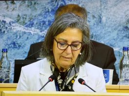 79ª Asamblea Mundial de la Salud: Ministra de Salud reafirma el compromiso de Chile con el rol de la OMS 79ª Asamblea Mundial de la Salud: Ministra de Salud reafirma el compromiso de Chile con el rol de la OMS