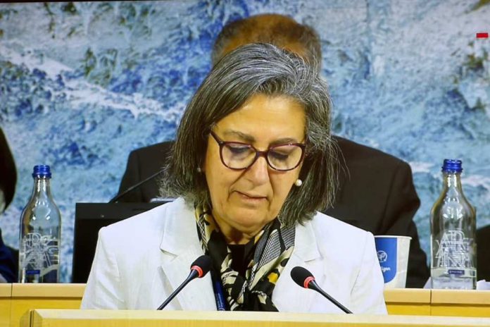 79ª Asamblea Mundial de la Salud Ministra de Salud reafirma el compromiso de Chile con el rol de la OMS 79ª Asamblea Mundial de la Salud: Ministra de Salud reafirma el compromiso de Chile con el rol de la OMS