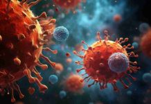 Cepa Andes del hantavirus: qué tan grave puede ser una infección y por qué su evolución puede acelerarse en horas