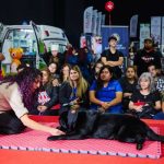 Faltan pocos días ¡No te pierdas la nueva versión de Expo Mascotas & Animales!