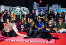 Faltan pocos días ¡No te pierdas la nueva versión de Expo Mascotas & Animales!