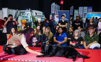Faltan pocos días ¡No te pierdas la nueva versión de Expo Mascotas & Animales!