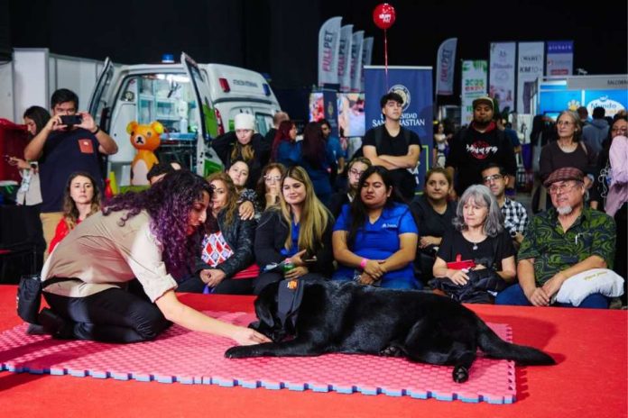 Faltan pocos días ¡No te pierdas la nueva versión de Expo Mascotas & Animales!